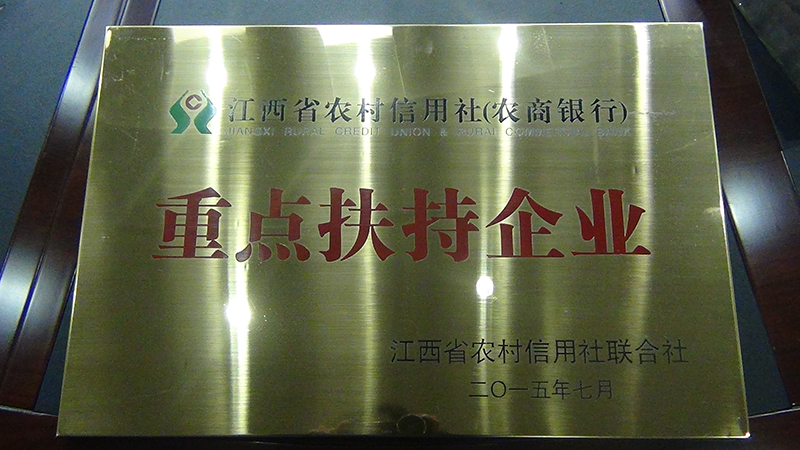 Key enterprises supported by China Science and Technology Corporation